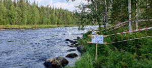 Kuusinkijoki