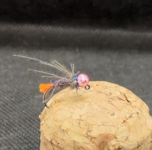 Perho Orange Tag