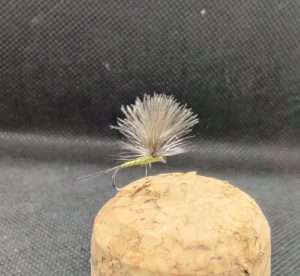 Perho päiväkorento