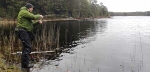Perhokalastusta parhaimmillaan, kala on saatu tartutettua