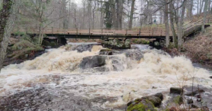 Karkkilan Myllykoski